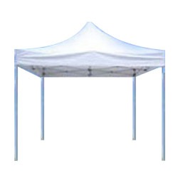 10x10 tent 1615576877 big202 1727726033 1 Tent - 10x10