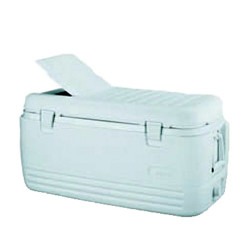 cooler 393030804 big 1727717126 1 33" Cooler