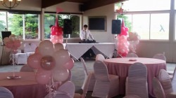 djing 1619665506 1 DJ Services