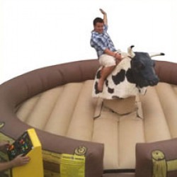 mechanical bull 1 1615817280 big 1727725462 2 Mechanical Bull