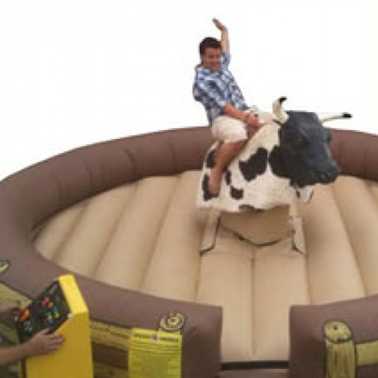 Mechanical Bull