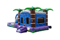 Tropical20breeze203 1759410764 Tropical Breeze Splash