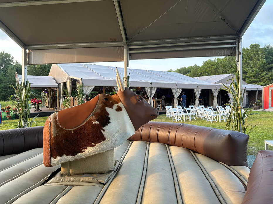 Mechanical Bull Rental