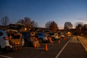 turnk or treat Blog